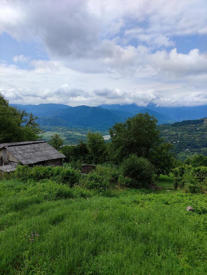 Racha Chogovadze'S Guest House Амбролаури Екстериор снимка
