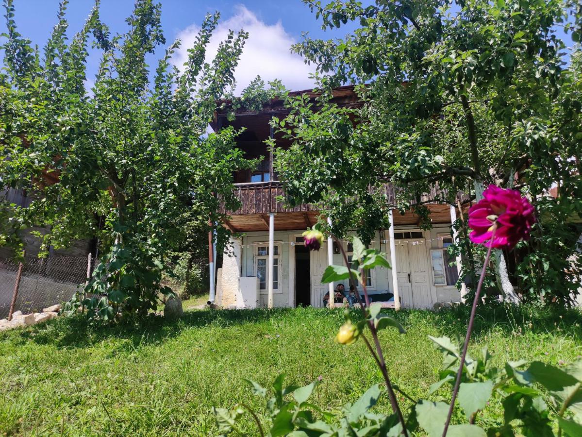 Racha Chogovadze'S Guest House Амбролаури Екстериор снимка